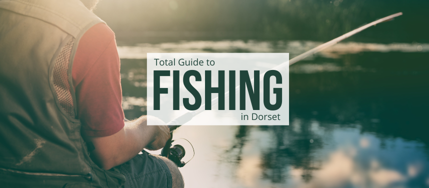 Fishing in Dorset