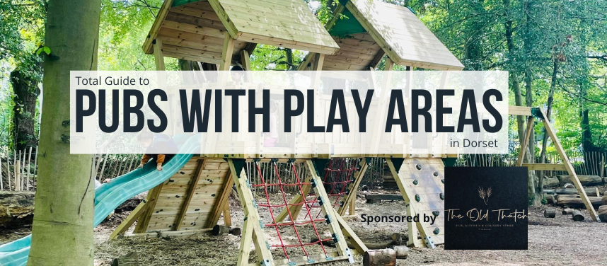 Pubs with Play Areas 