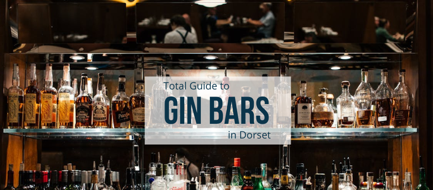 Gin Bars