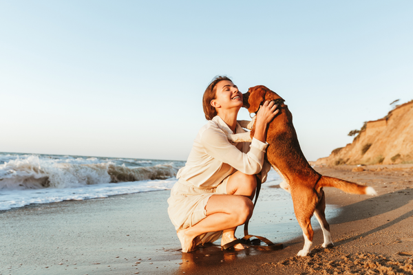 The Therapeutic Benefits of CBD Oil for Dogs with Separation Anxiety 