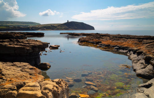 Kimmeridge Bay