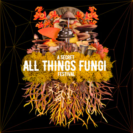 secret all things fungi