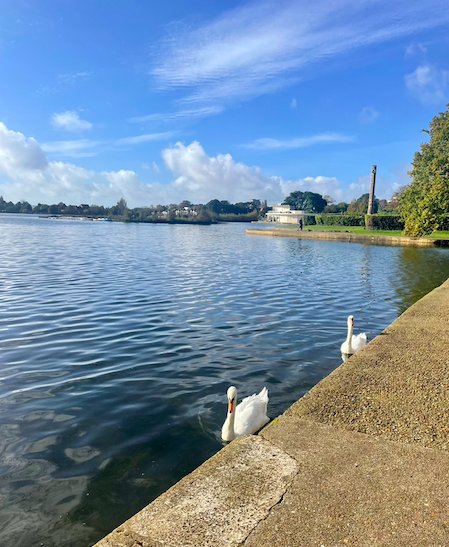 poole park