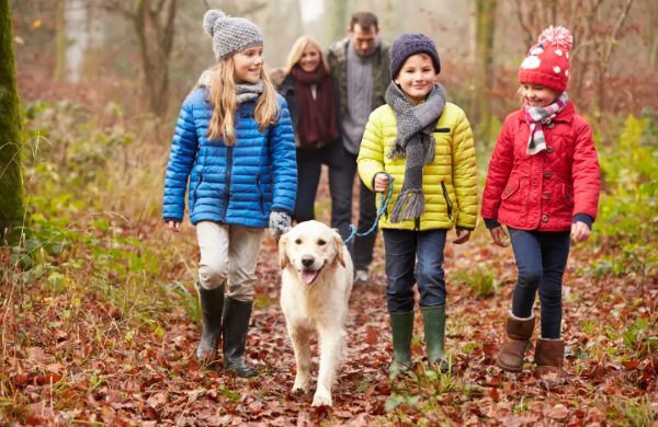 Christmas Quest at Moors Valley