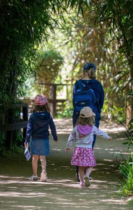 Mums Go Free to Abbotsbury Swannery