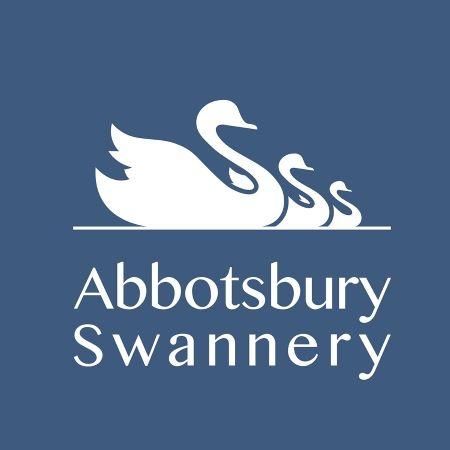 Abbotsbury Swannery Dorset