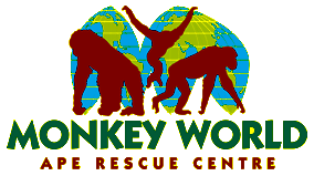 Monkey World Wareham