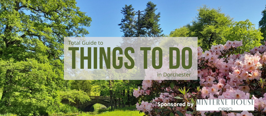 Things to do in Dorchester banner cenk