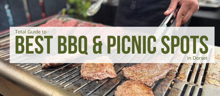 Best BBQ & Picnic Spots in Dorset (2026 Guide) | Beaches, Parks & Scenic Places