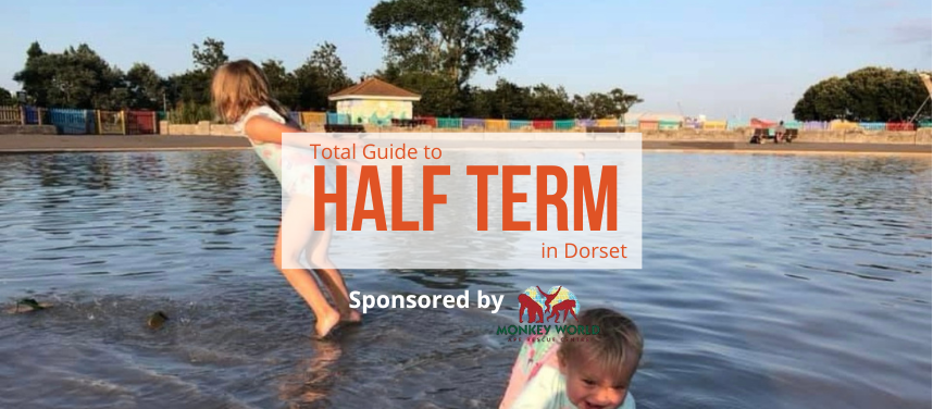 Half Term in Dorset