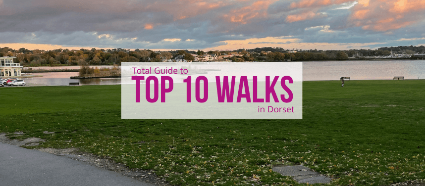 top 10 walks banner